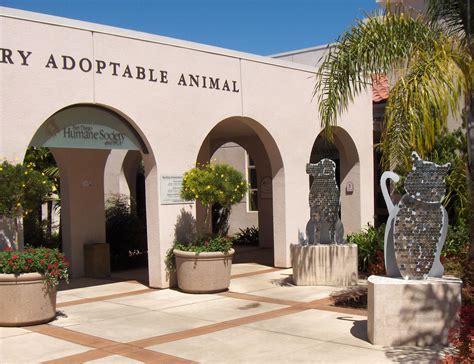 San Diego Humane Society Gets $2,500 To Start Program | KPBS