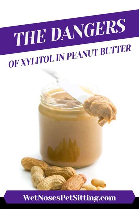 The Dangers Of Xylitol In Peanut Butter Wet Noses Pet Sitting