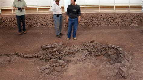 Ancient Tissue Found In 195 Million Year Old Dinosaur Rib Cnn