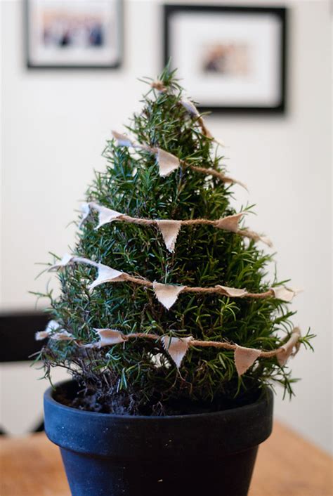 Christmas Wreaths With Pine Cones Where Can I Buy Real ...