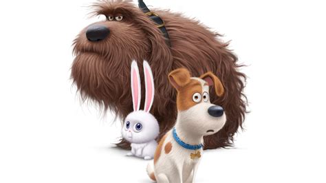 The Secrete Life Of Pets Movie Dogs Hd Movies 4k Wallpapers Images