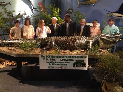 Record Breaking Alligator On Display In Montgomery Alabama News