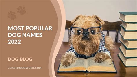 Most Popular Dog Names In 2022