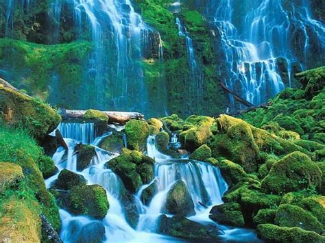 75 Best Images About Living Waters On Pinterest Nature Screensaver