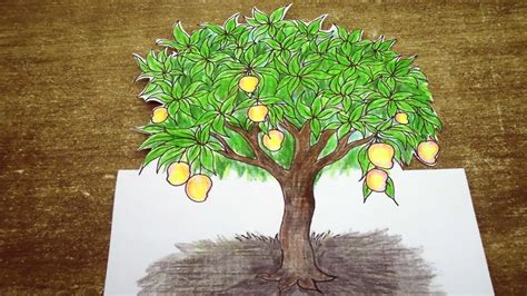 Mangoes drawing at getdrawings free download. Drawing Tree How to Draw 3D Mango Tree Trick Art on Paper ...