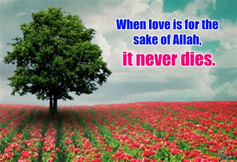 ️ For The Sake Of Allah Islamic Quotes Allah Sake