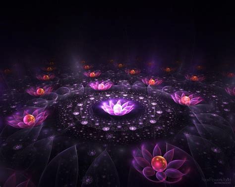 🔥 Download Lotus Flower Wallpaper By Lrodriguez Apple Lotus Flower Wallpaper Lotus Flower