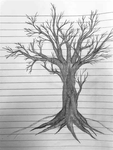 Easy Simple Pencil Tree Drawing Untitled Tree Drawings Pencil Tree