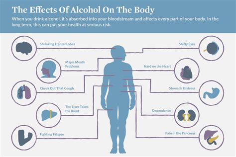 10 Effects Of Alcohol On The Body Mountainside