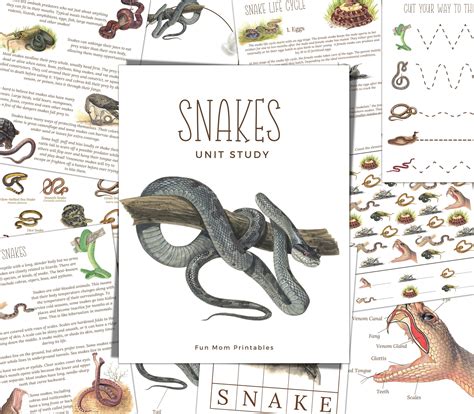 Snakes Unit Study Life Cycle Anatomy Nature Study Science Etsy In