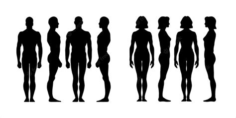 Premium Vector Silhouette Figure Of A Person In Front Back Side Man