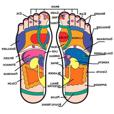 Top 93 Images How To Massage A Woman S Feet Completed