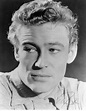 Peter O'Toole - Movies & Autographed Portraits Through The Decades