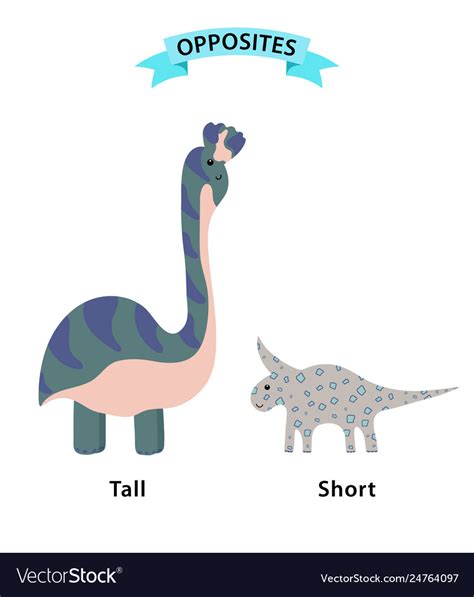 Wordcard For Tall And Short Antonyms And Opposites