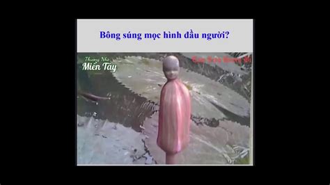 Ông Hai Nhu 10 🐖🐖🐖 Youtube