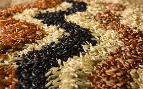 Beragam jenis beras tersedia dari sekedar beras sosoh (putih), beras wangi, beras pecah kulit, beras merah, beras hitam sampai beras organik, dengan atau tanpa menyebut mutu beras adalah sekumpulan sifat fisik, kimia, fisikokimia, organoleptik dan flavor yang ada pada beras atau nasinya. Ketahui beza khasiat 4 jenis beras | Free Malaysia Today (FMT)
