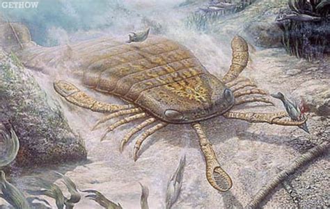 Top 5 Beasts Of The Prehistoric Deep
