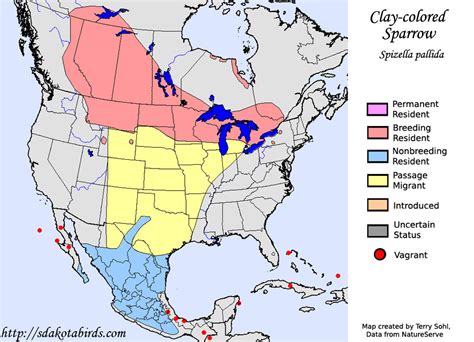 Clay Colored Sparrow Species Range Map