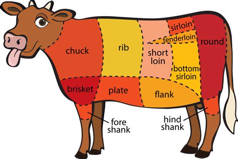 Parts Of Beef Cuts