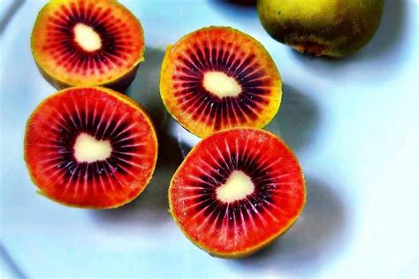 Types Of Kiwi Fruit And Price Ravia