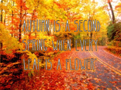 Autumn Morning Quotes Quotesgram