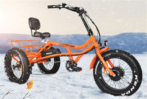 ⚡ 2021 Guide To Electric Tandem Bikes Updated List