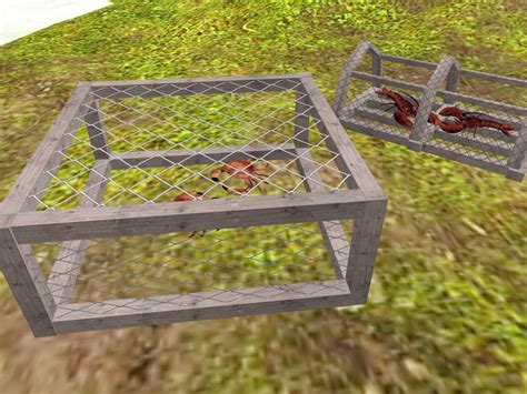 Dfs Fishing Traps Digital Farm System