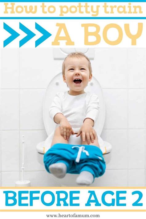 How To Potty Train A Boy By Age 2 Potty Training Kids Toddler Potty