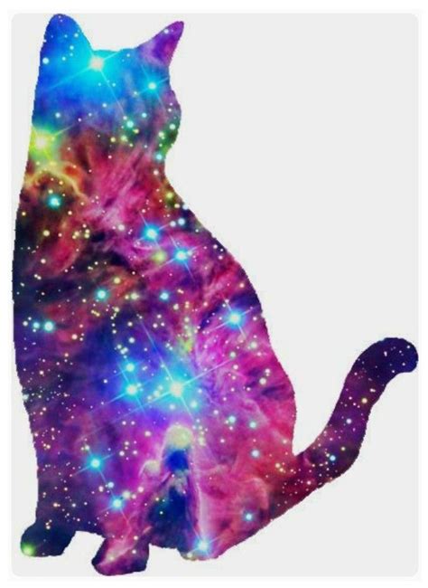 Pin By Debora Crosby On Dogs And Cats Galaxy Cat Space Cat Cat Art