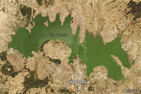Nasa Comparte Imágenes Satelitales De La Intensa Sequía Que Azota