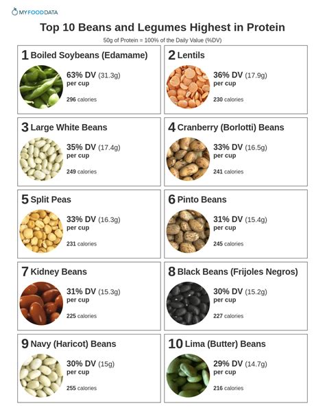 Top 10 Beans And Legumes Highest In Protein