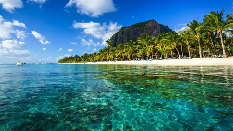 Plaża Pod Palmami Na Mauritiusie