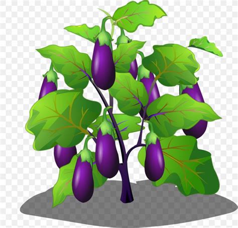 Eggplant Vegetable Cartoon Png 938x902px Eggplant Art Auglis