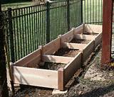 Pictures of 4 4 Raised Garden Bed Kits