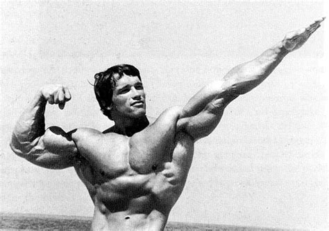 The Strong Force Arnold Schwarzenegger The Bodybuilder