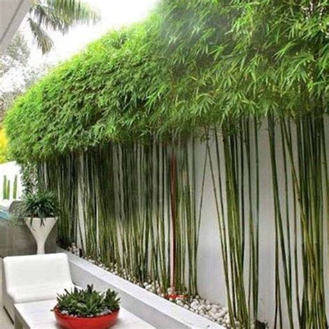 Source M 131 Guangzhou Artificial Bamboofake Bamboo Fence For Outdoor