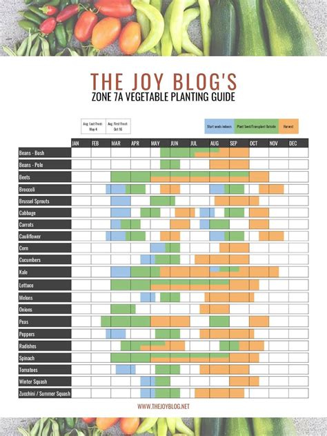 Vegetable Planting Guide For Zone 7