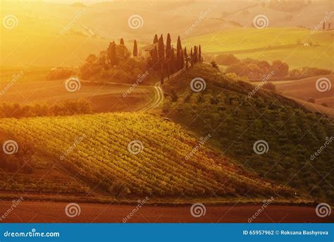 Sunrise In Italy Stock Photo Image Of Peaceful Meadow 65957962