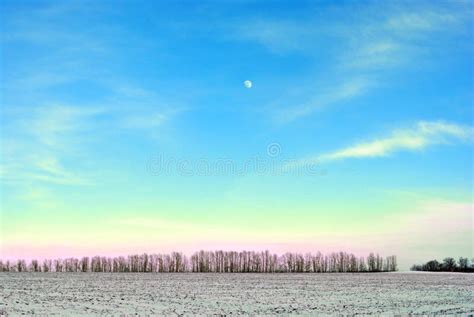 Full Moon Over Plowed Field Covered With Snow Line Of Trees On The