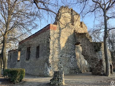 Margit sziget Ferences templom romja Középkori templomok