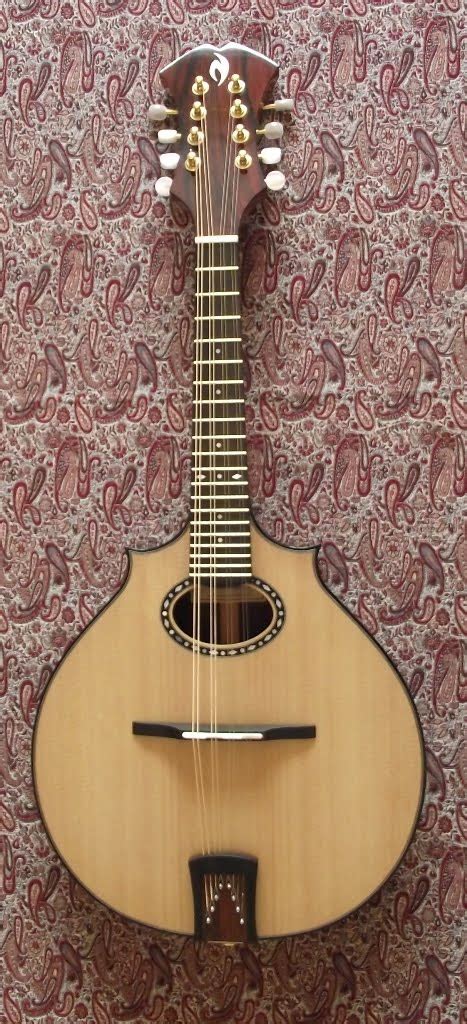 Gary Nava Luthier Instrument Archive