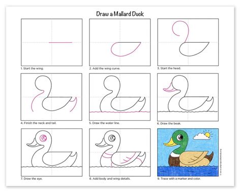Duck How To Draw Duck Drawing Draw Clipart Easy Duckling Cartoon Simple
