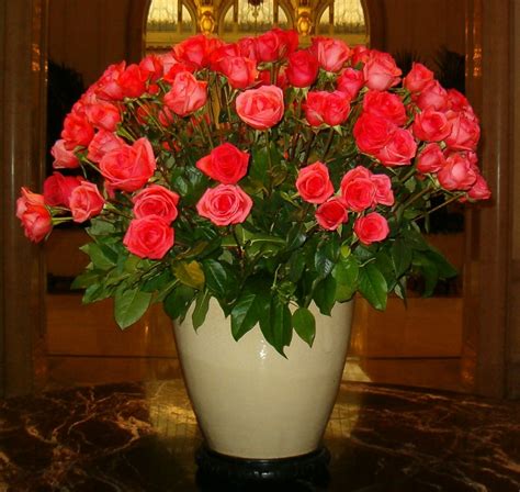 Privately owned public open spaces. Vase full of roses in San Francisco. | Flowers, Floral ...