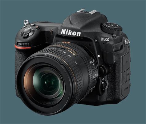 The Best Nikon Cameras For Beginners Hobbyists And Professionals