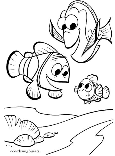 finding nemo marlin dory  nemo coloring page