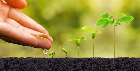 Planting A Seed 5 Funding Options To Get Your New Startup Off The Ground