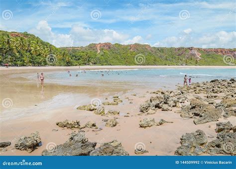 Praia De Coqueirinho Beach Conde Pb Editorial Image Cartoondealer Com