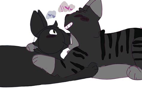 Warrior Cats Jayfeather And Willowshine