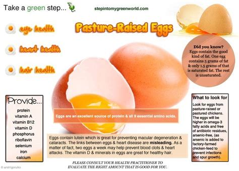 The Quality Of Egg Protein Is The Highest Of Any Whole Food Product