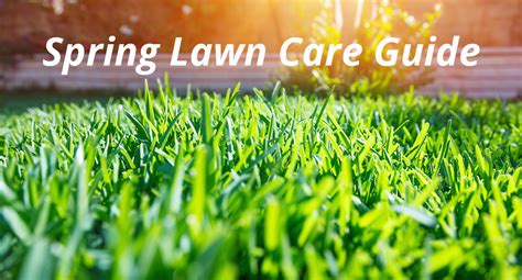 A Step By Step Guide To Spring Lawn Care Atlanta Lawn Care